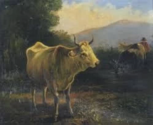 Valerio Laccetti - Mucche al pascolo